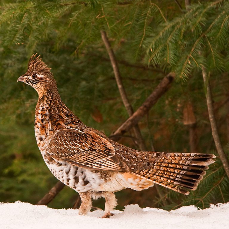 Pennsylvania State Tax Collectors' Association Better communication